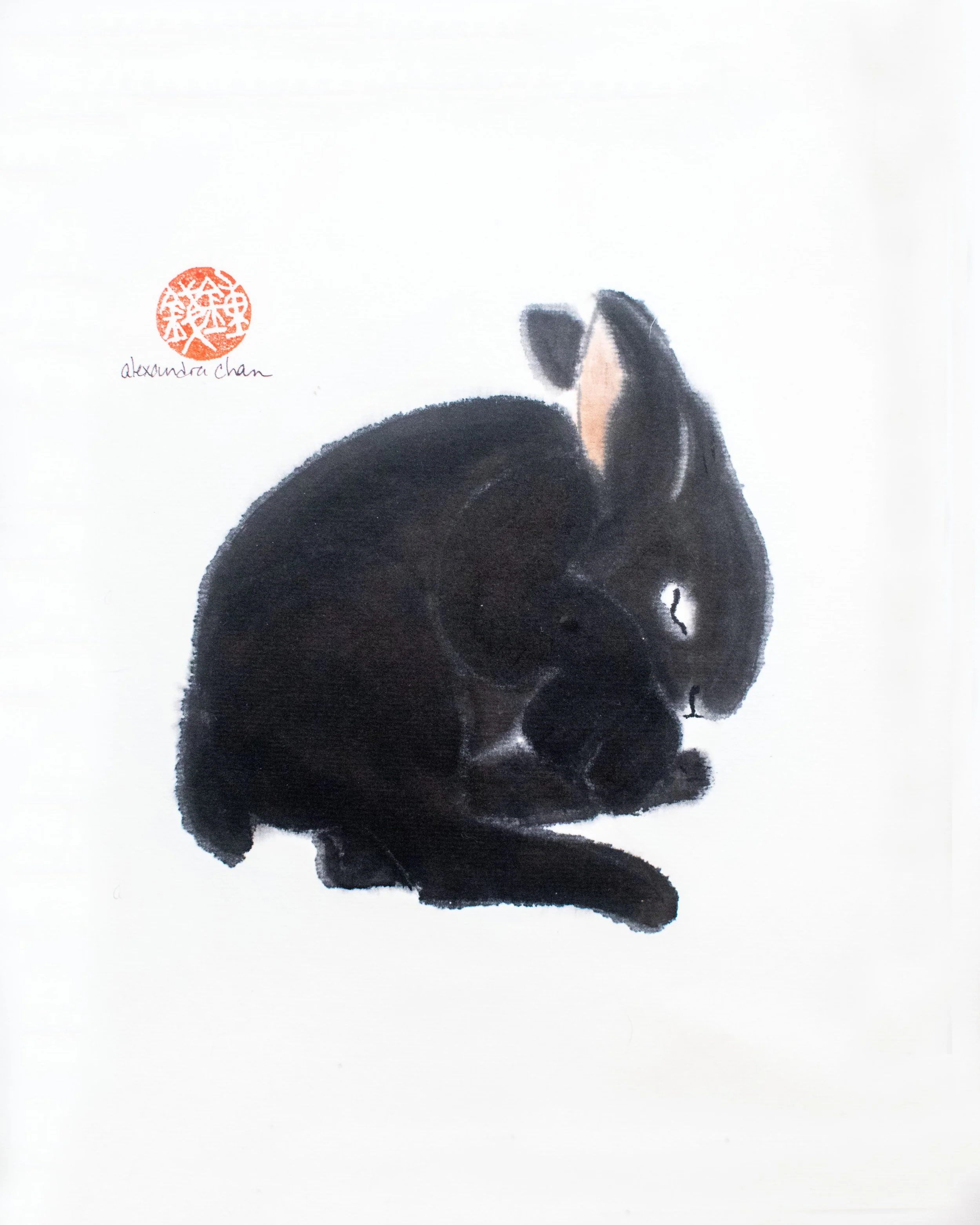 Year of the Rabbit — Rising Phoenix Arts
